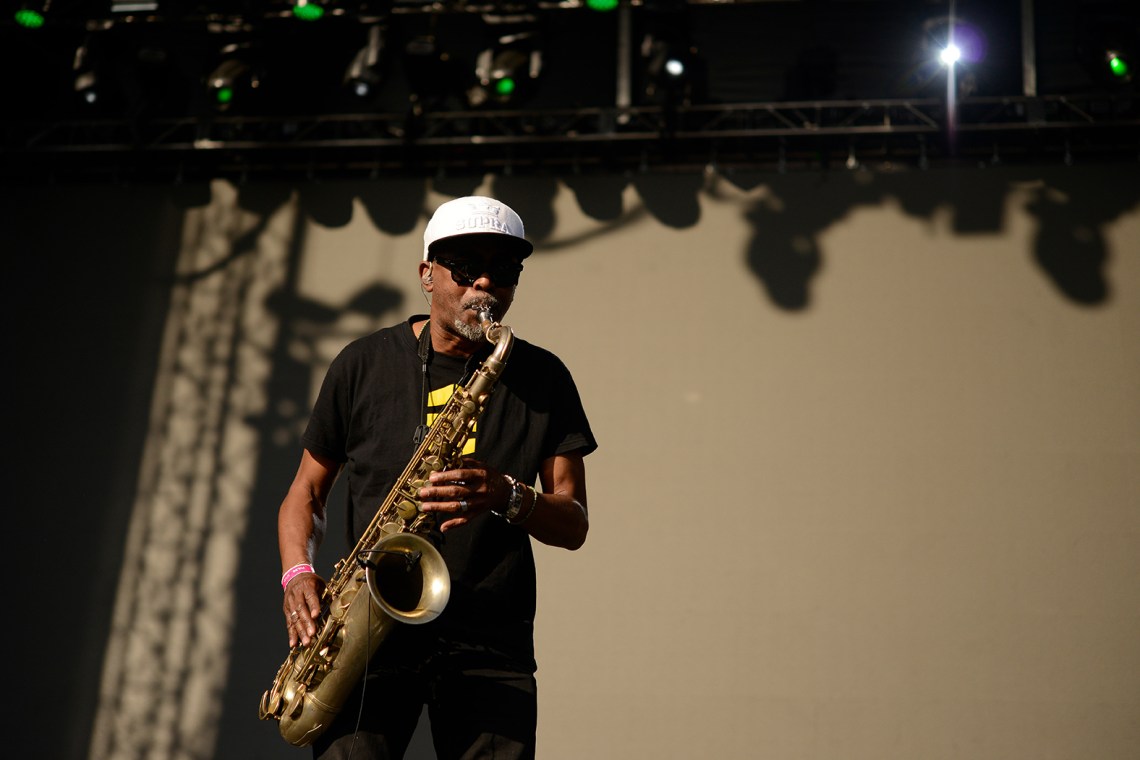 JARABE DE PALO PULGO GNP _x11